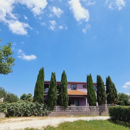 Apartmani Nika Bibinje Exterior photo